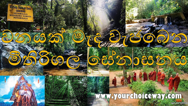 වනයක් මැද වැජබෙන - මීතිරිගල සේනාසනය 😇🙏 (Mitirigala Nissarana Vanaya) - Your Choice Way