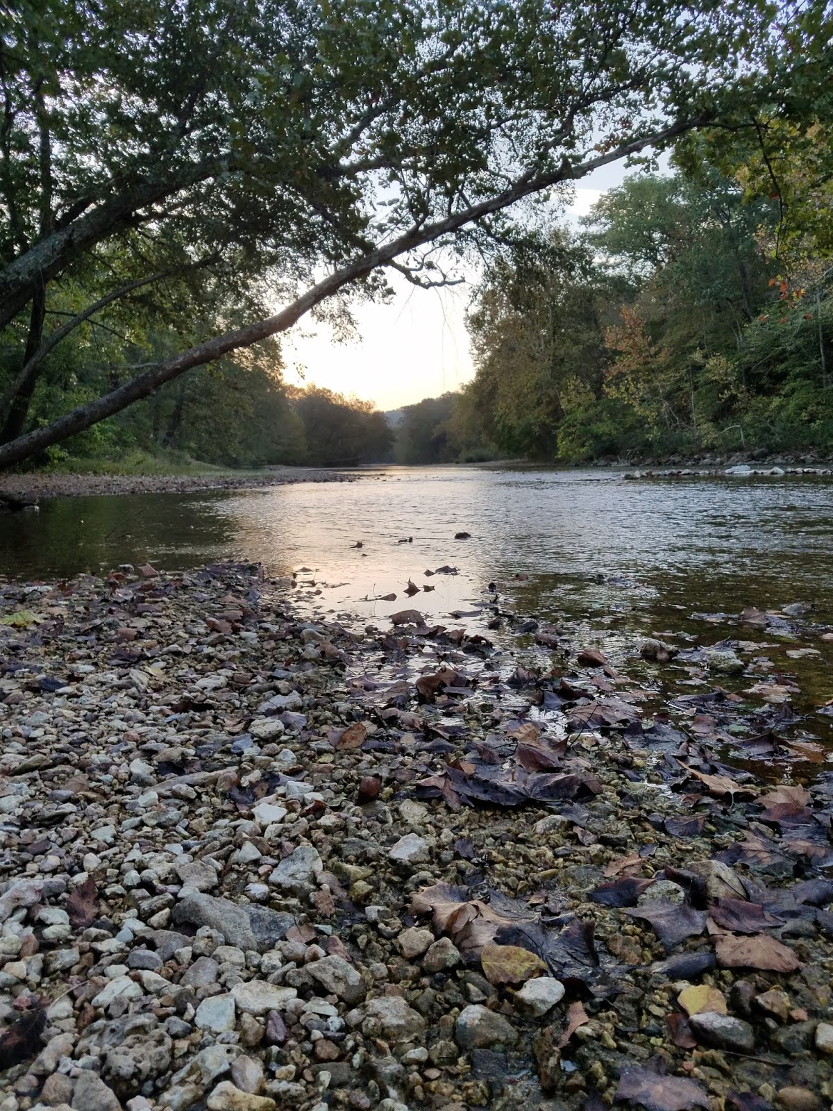 Divinebunbun's Rugged Rural Missouri PostSeason on the Black River