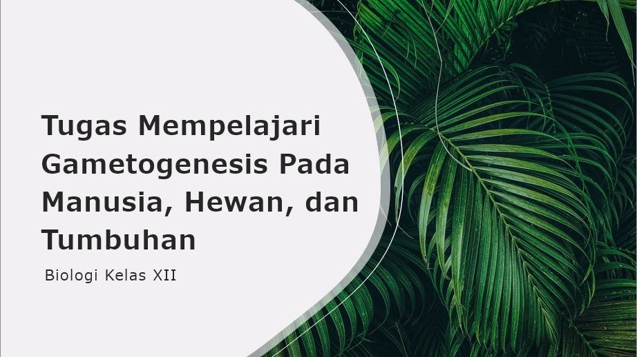 Tugas Mempelajari Gametogenesis Pada Hewan dan Manusia, Serta Tumbuhan