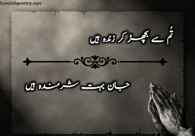 Ishq Poetry In Urdu Text