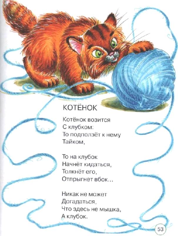 3 стихотворения о животных. Стихотворение про котенка для детей 5 лет. Детские стихи про кошек. Стих про котяру. Котенок ситх.