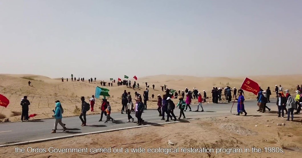 Gemeinsam Sind Wir Stark The Great Green Wall