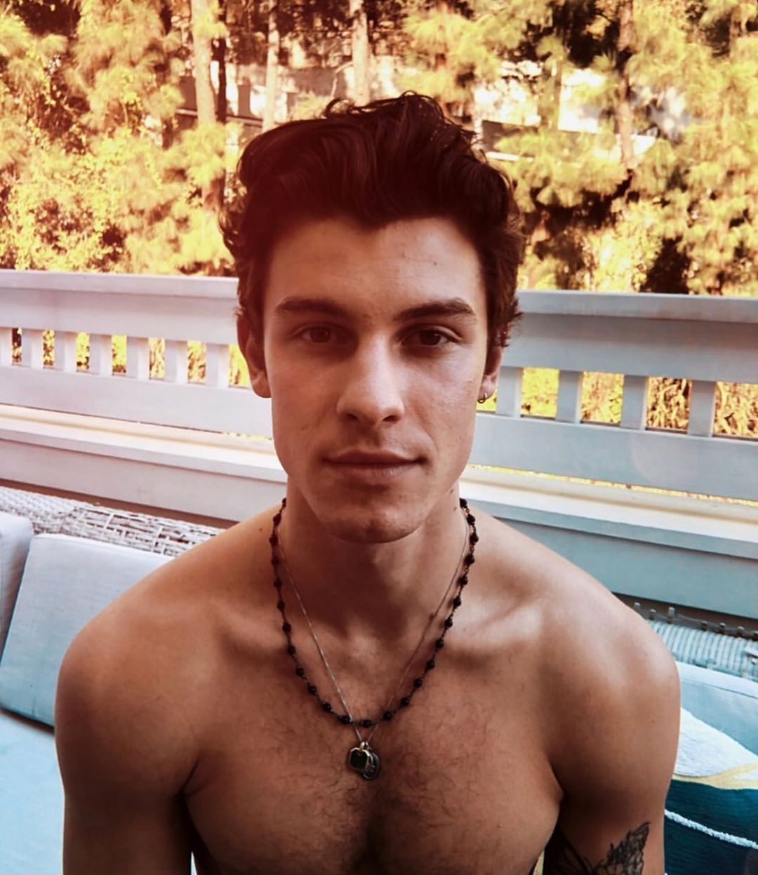 Alexis_Superfan's Shirtless Male Celebs: Shawn Mendes shirtless picture