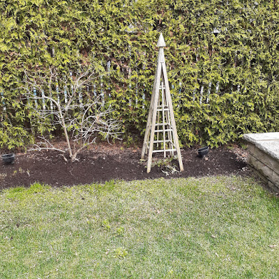 Chaplin Estates Toronto Spring Cleanup After by Paul Jung Gardening Services--a Small Toronto Organic Gardening Company