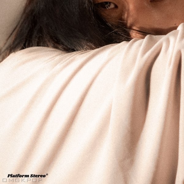 Platform Stereo – Flash – Single