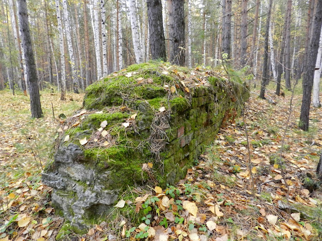 Кирпичная стена покрытая мхом