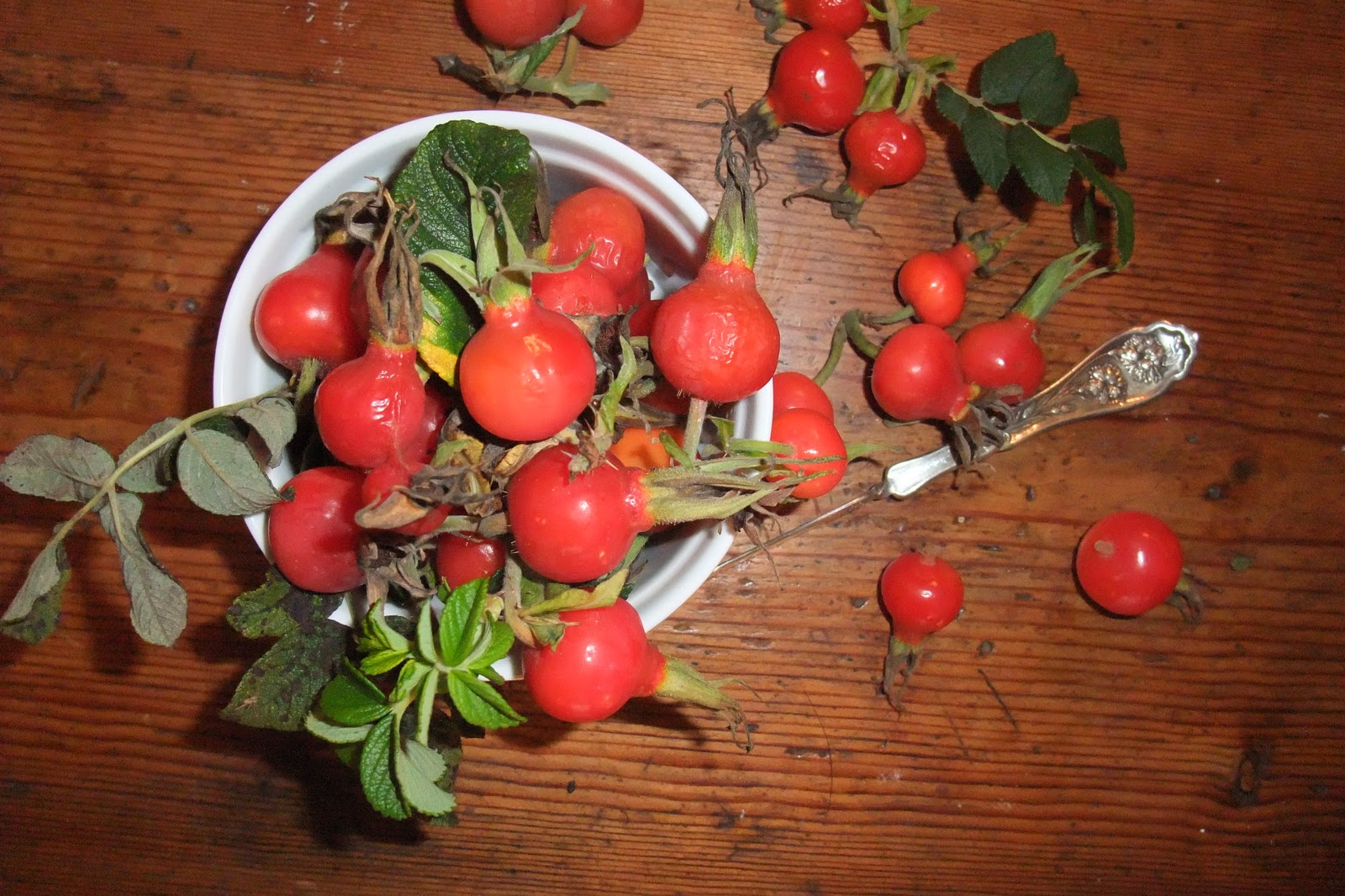 Preserved and Pickled ROSE HIP JELLY