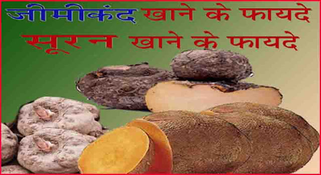 जिमीकंद खाने के गुण, फायदे और नुकसान जिमीकंद खाने के गुण, फायदे और नुकसान