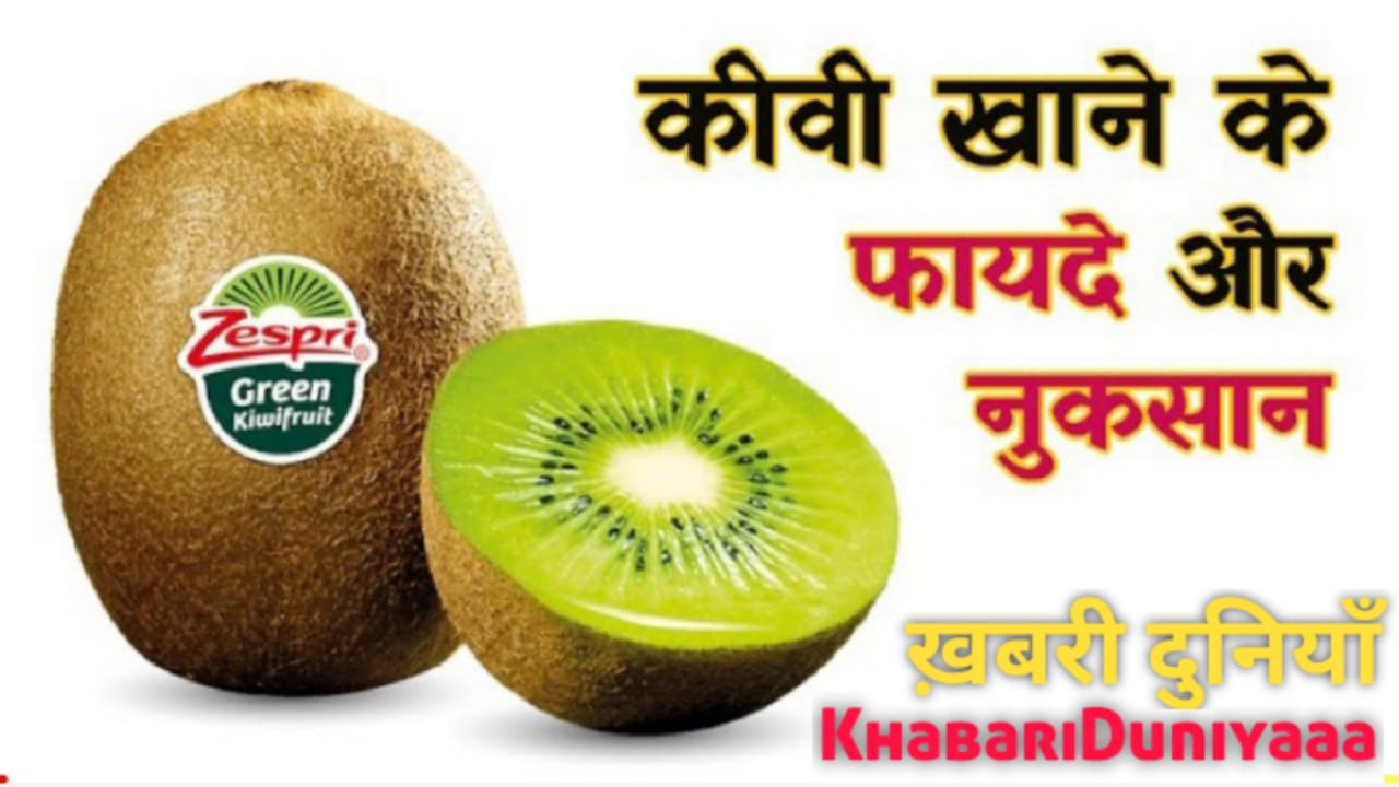 kiwi fruits benefits kiwi fruits benefits in hindi