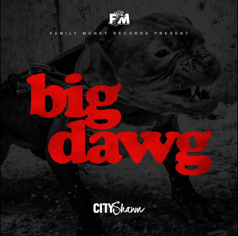City Shawn - "Big Dawg" (Producer: Cisco)