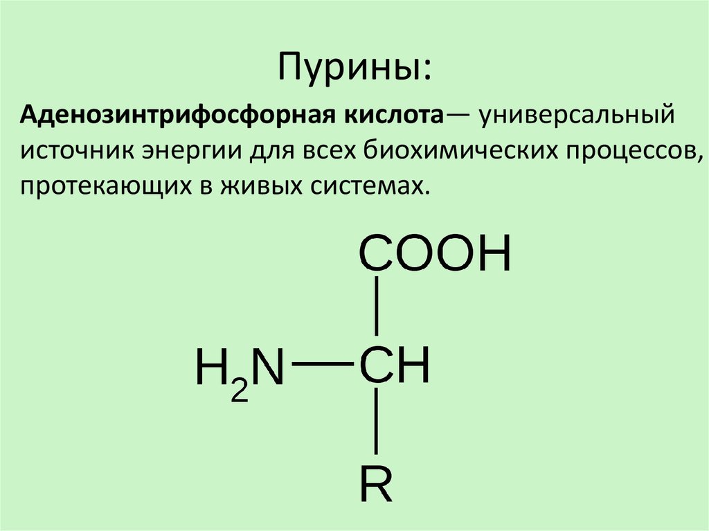 Синтез гамма аминомасляной кислоты. Изомер аминомаслчной кислоты. Гамма аминомасляная кислота нагревание. Изомеры аминомасляной кислоты.