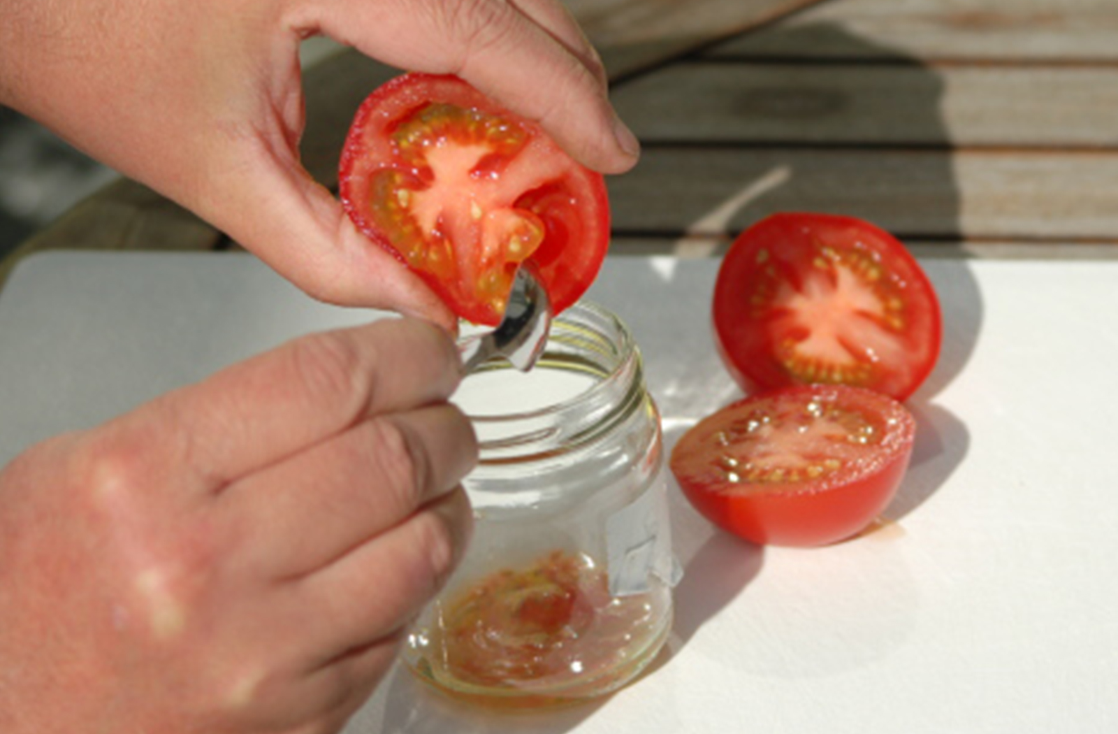 Готовим семена томатов. Сбор семян томатов. Семена из помидор. Собираем семена томатов. Заготовка семян томатов.