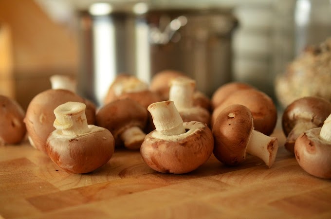 Mushroom cultivation training program | Organic mushrooms | Biobritte mushrooms