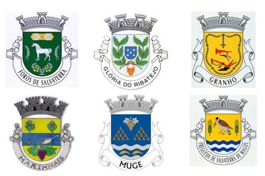 Fazer por Salvaterra, Fazer por Todos Nós APELO DOS NOSSOS 6