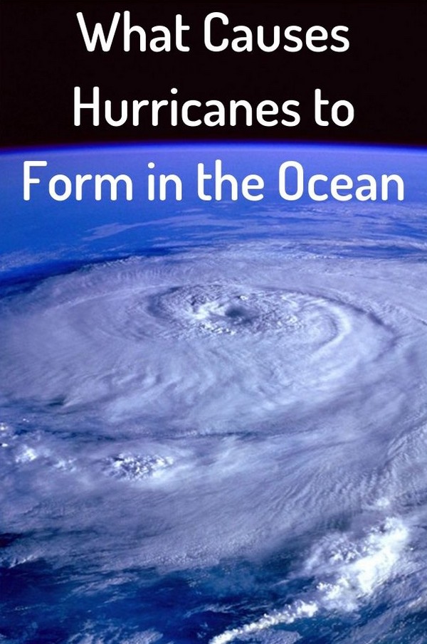 Earth Weather What Causes Hurricanes to Form in the Ocean