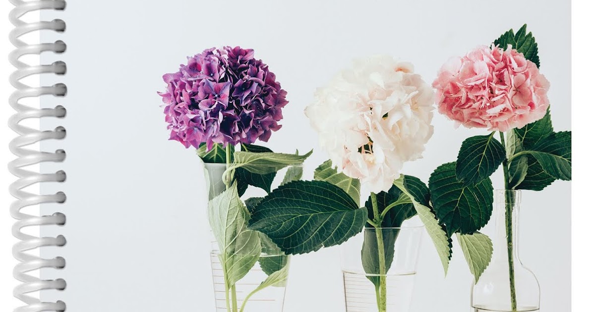 A Wise Woman Builds Her Home: The NEW 2021 Homemaker's Friend Daily