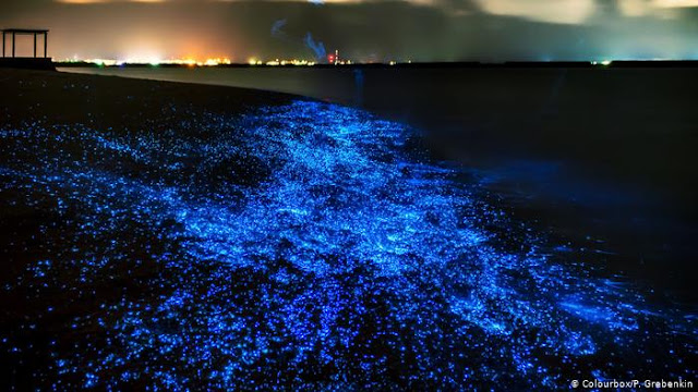 Bioluminescência em plancton registrada em Porto Rico - Colourbox - P Grebenkin