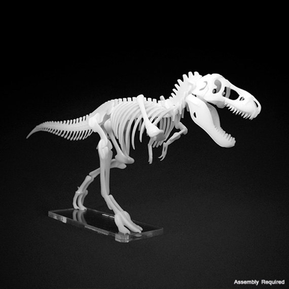 Shivers of Delight: Skeleton Puzzle Kits