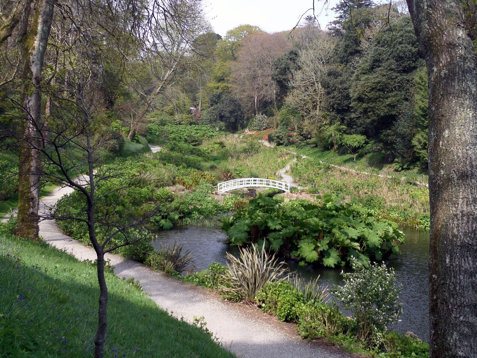 PEBBLE SOUP Trebah Garden Cornwall English Garden Chic