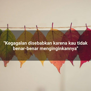 Quotes Bijak Tentang Kehidupan