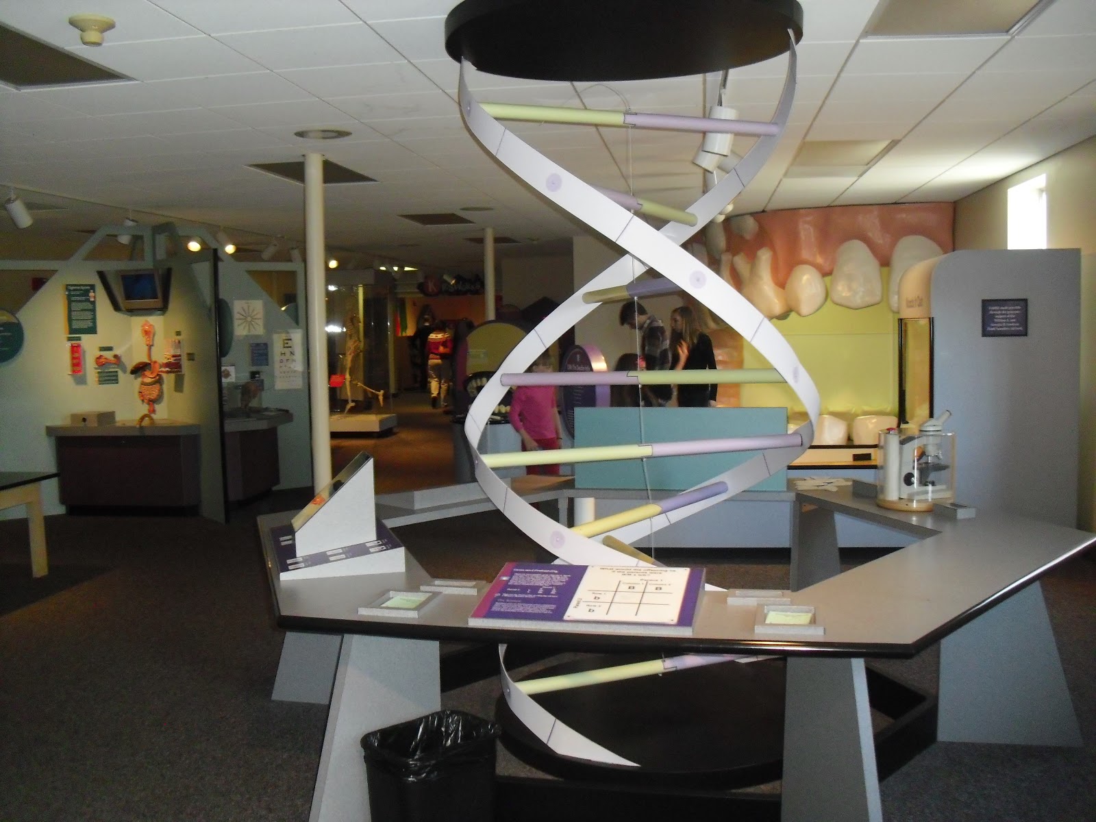 Travel NC With Kids SciWorks in WinstonSalem NC Offers Handson