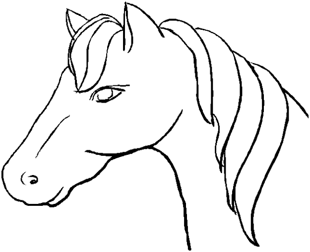 Interactive Magazine: Horse coloring pictures