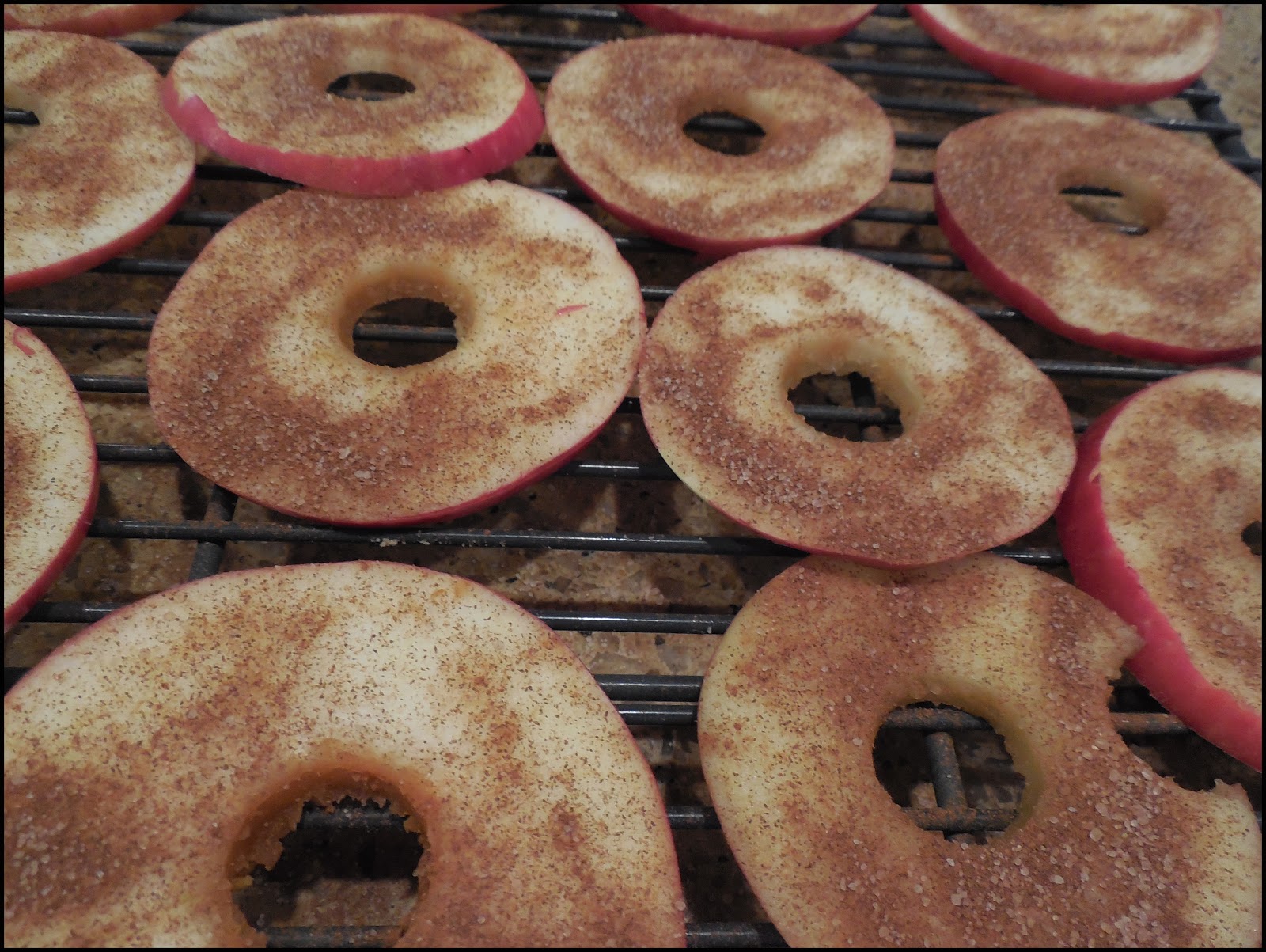 Delicious OvenDried Apple Chips Easy, Healthy and Delicious! A