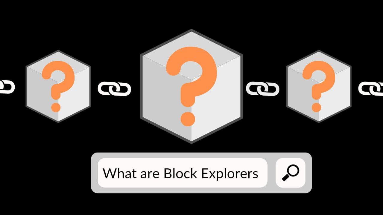 block explorer how to use a block explorer