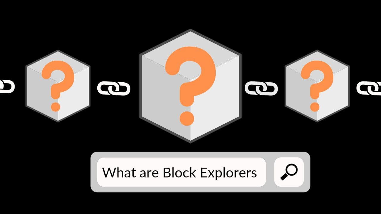 Block Explorers How to Use a Block Explorer?