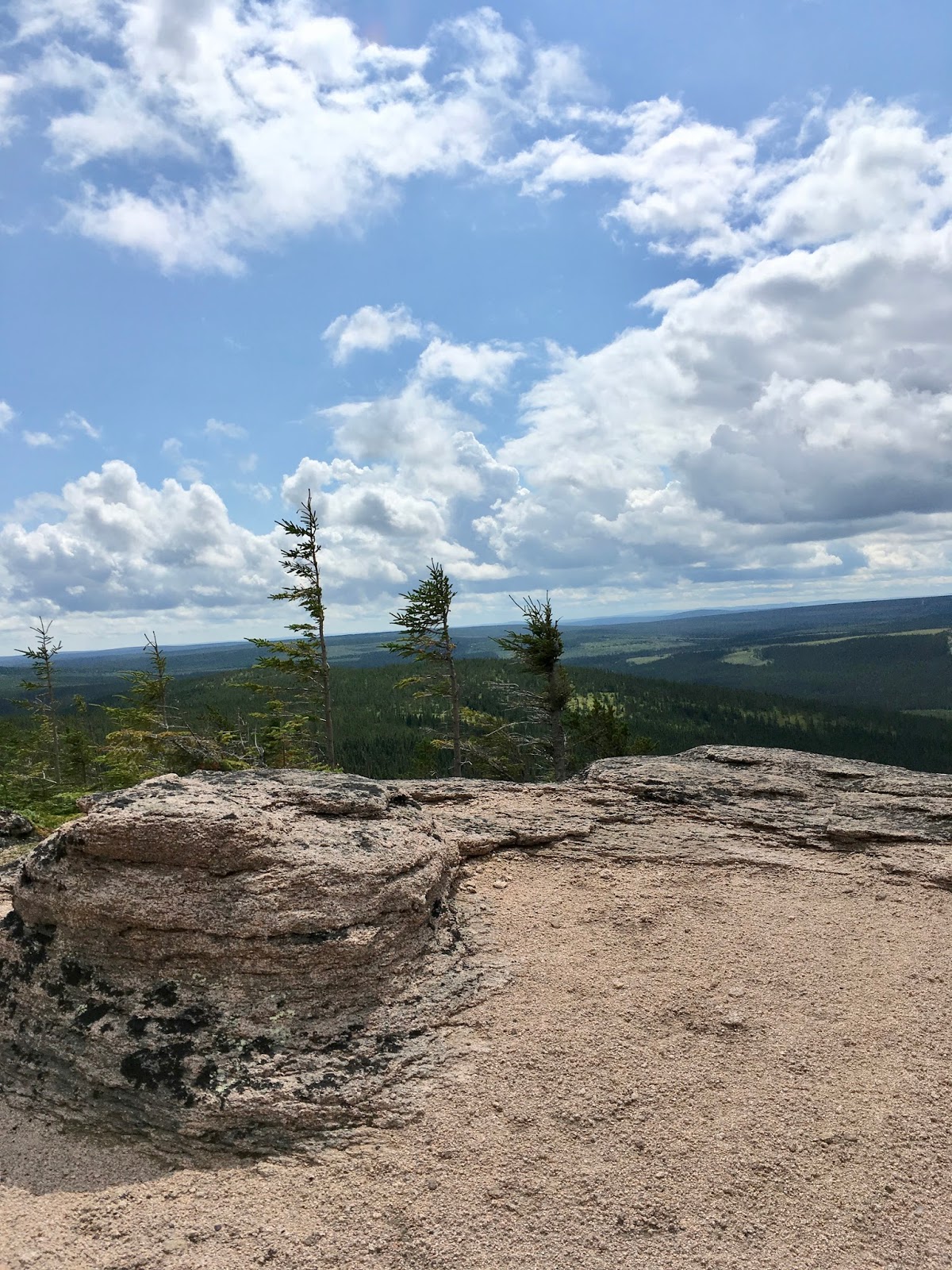 Bev's Nature Blog Big Bald Mountain