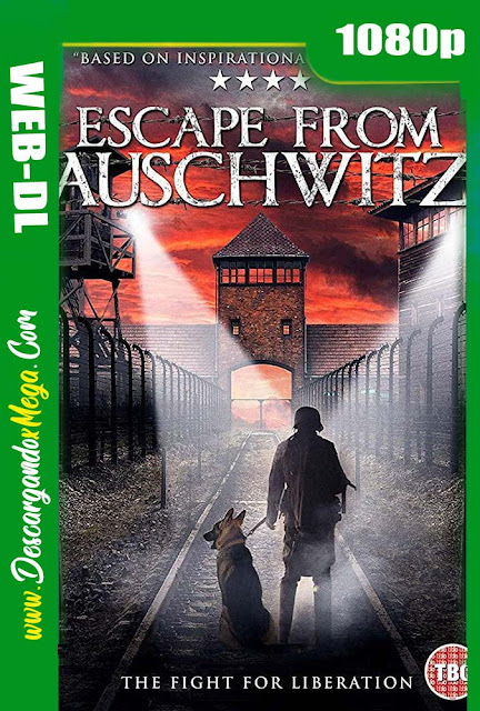 Escape de Auschwitz (2020) HD 1080p Latino