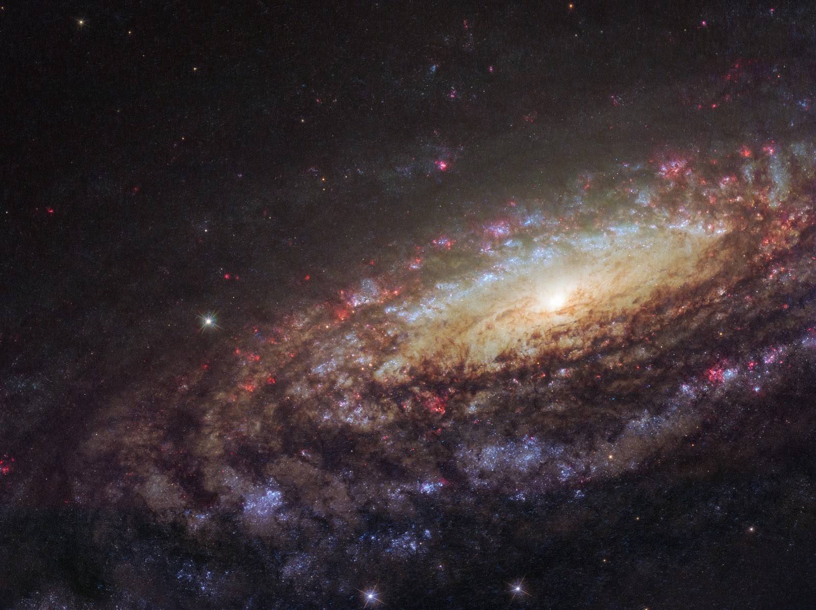Góc nhìn cận cảnh về NGC 7331