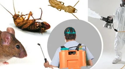 commercial pest services TX