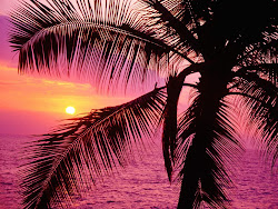 girly backgrounds cool wallpapers pretty desktop pink pc sunset really summer beach lovely