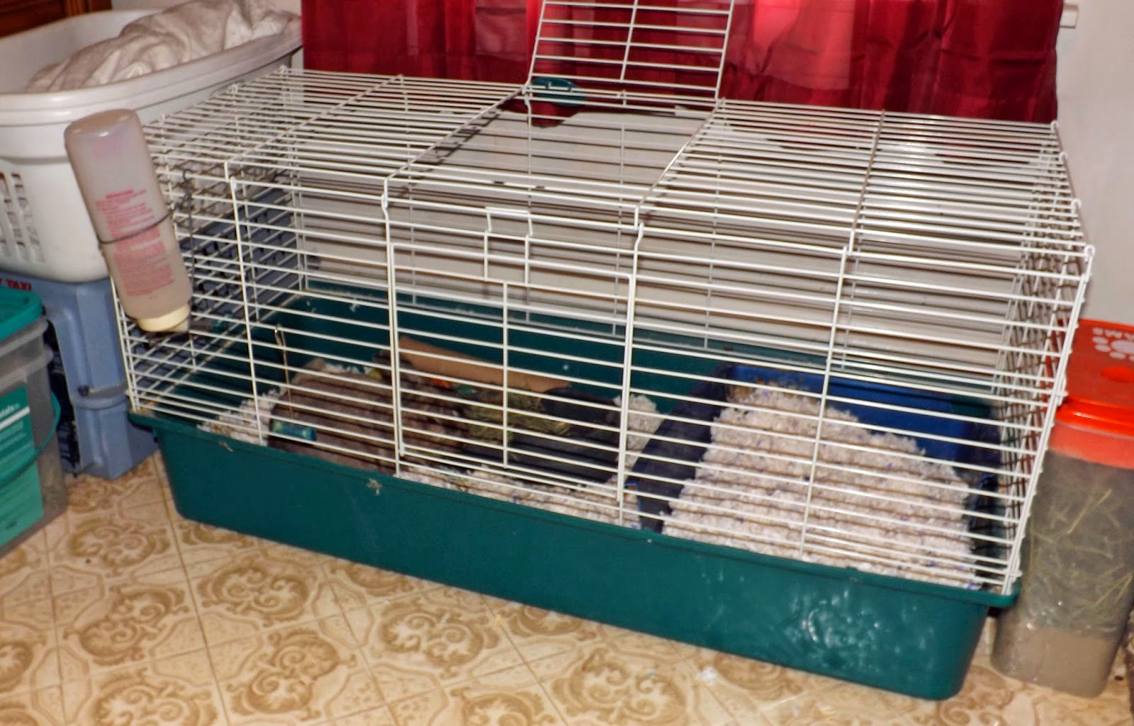 The Wiccan Life Sam's New Bunny Bedding