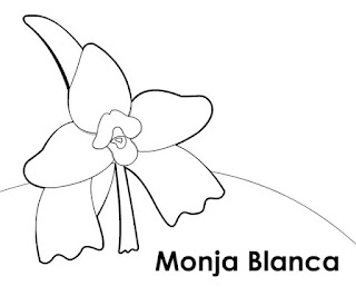 Colorear Dibujo Monja Blanca Flor De Guatemala Colorear Dibujos Infantiles