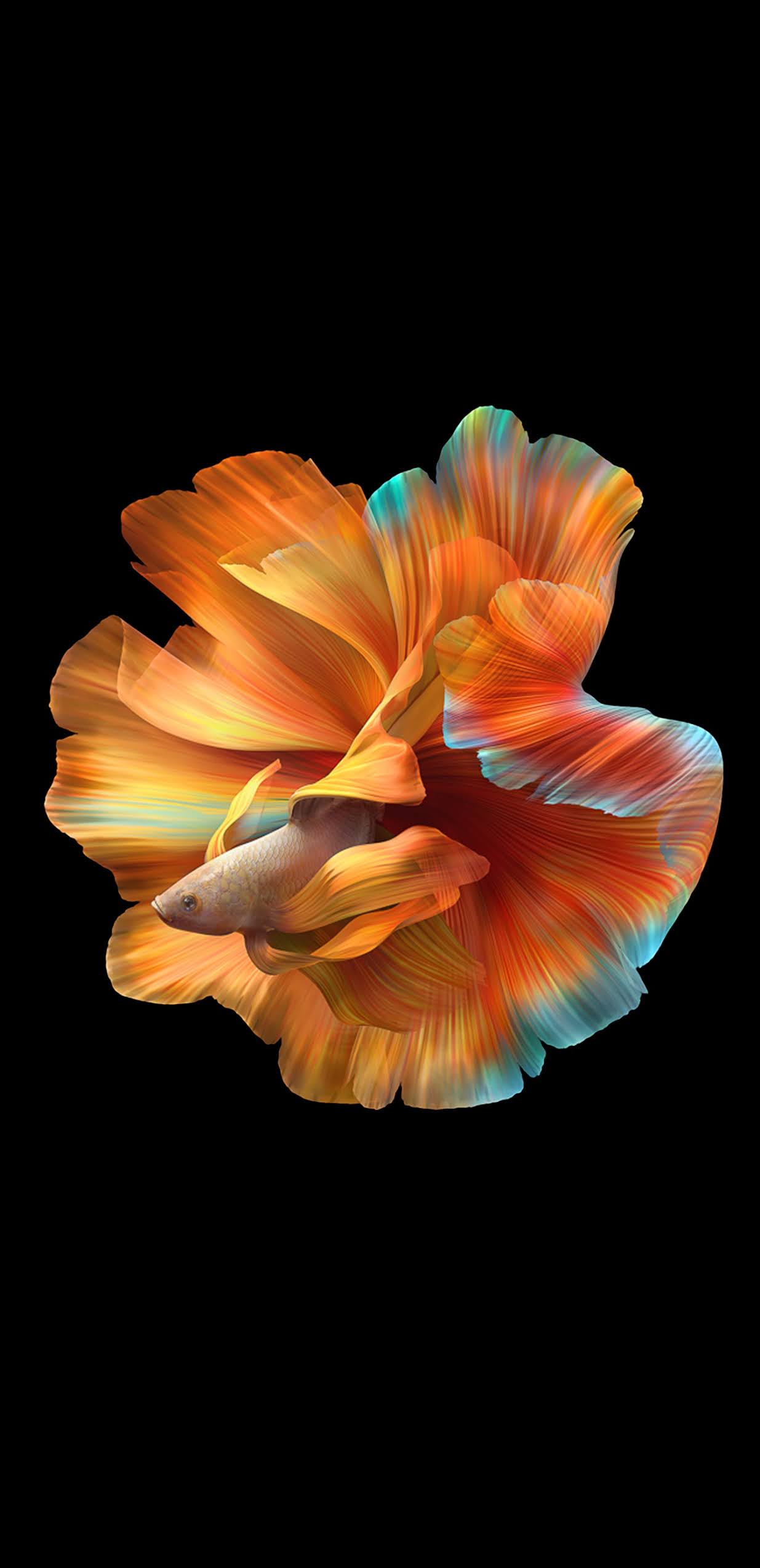 Wallpapers Huawei Mate 40 Pro - Pack 2