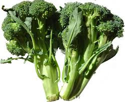 Cara Budidaya Tanaman Brokoli Yang Cepat Panen