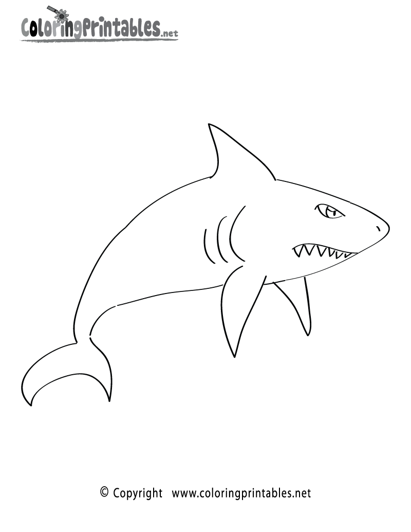 ocean shark coloring pages - photo #5