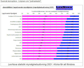 Svensk korruption : lögnen om "patriarkatet"