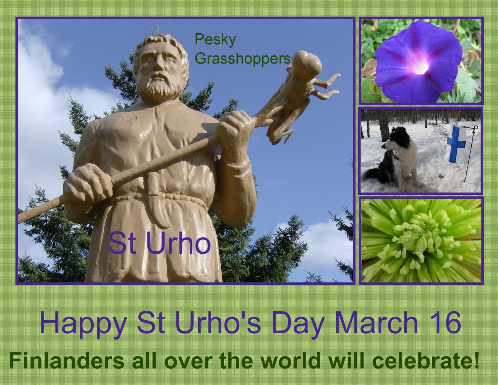 Far Side of Fifty Happy St Urho's Day!