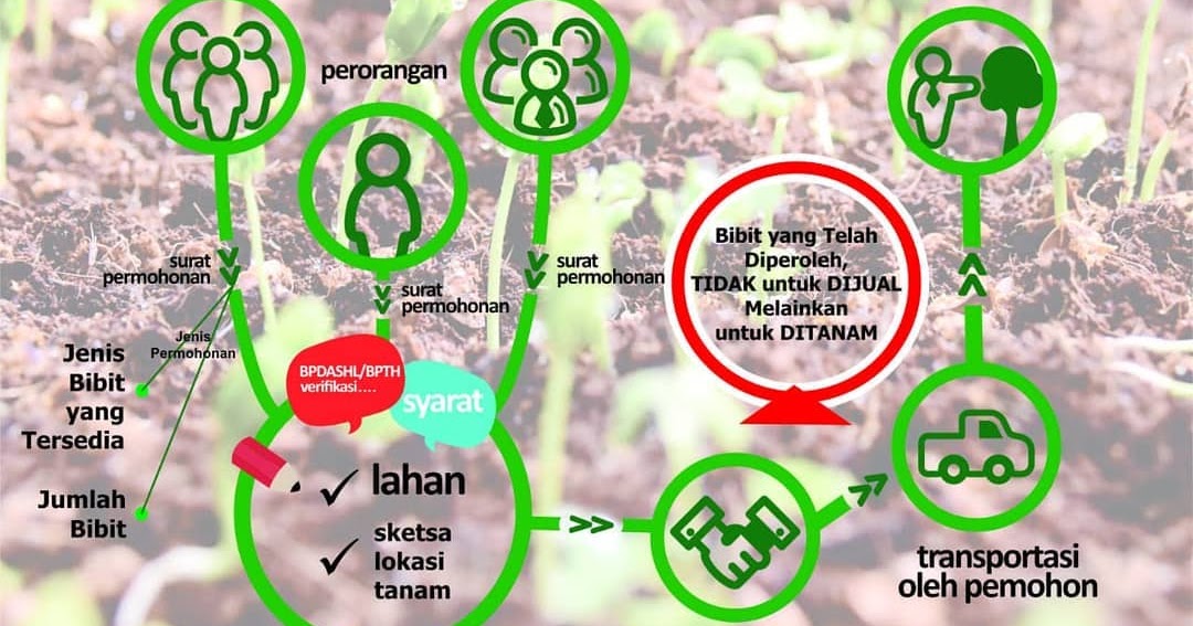 Peredaran Hasil Hutan Mekanisem Permintaan Bibit Gratis
