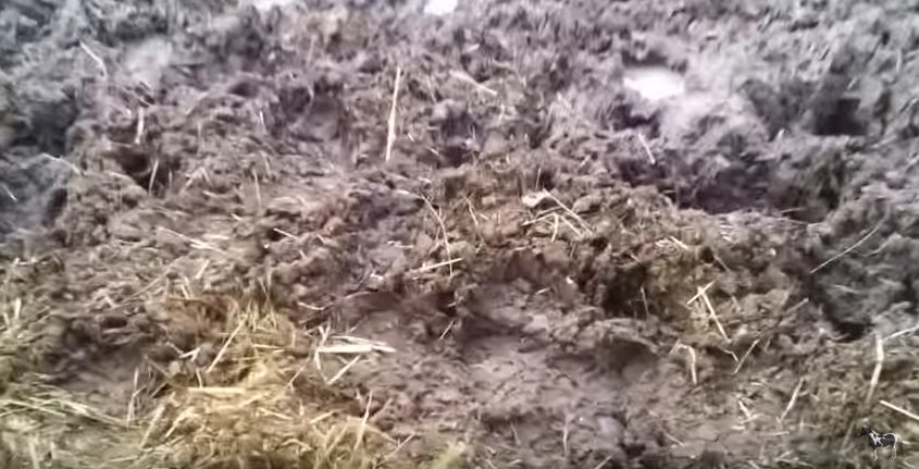 Pferde Blog: Matsch im Paddock - jetzt nicht mehr - mit Platten und