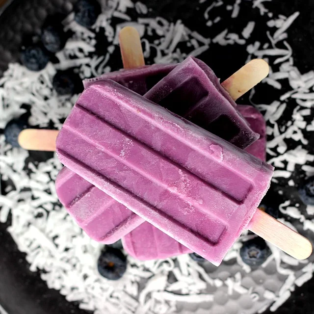 Blueberry Coconut Frozen Yogurt Bars | Renee's Kitchen Adventures