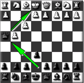 matto dell imbecille