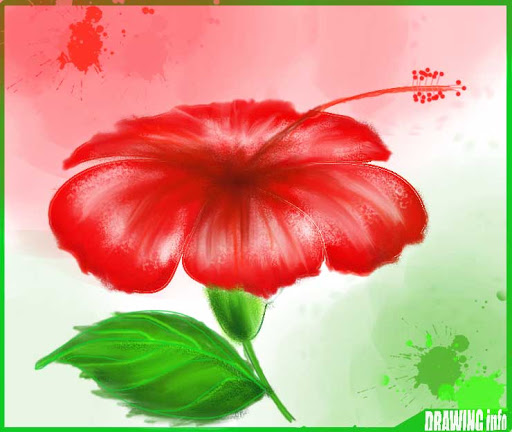 Featured image of post Hibiscus Art Flower Drawing Colour : Fine art paper printed on satin luster matte paper of high quality, to bring out the true rich colors of my painting.