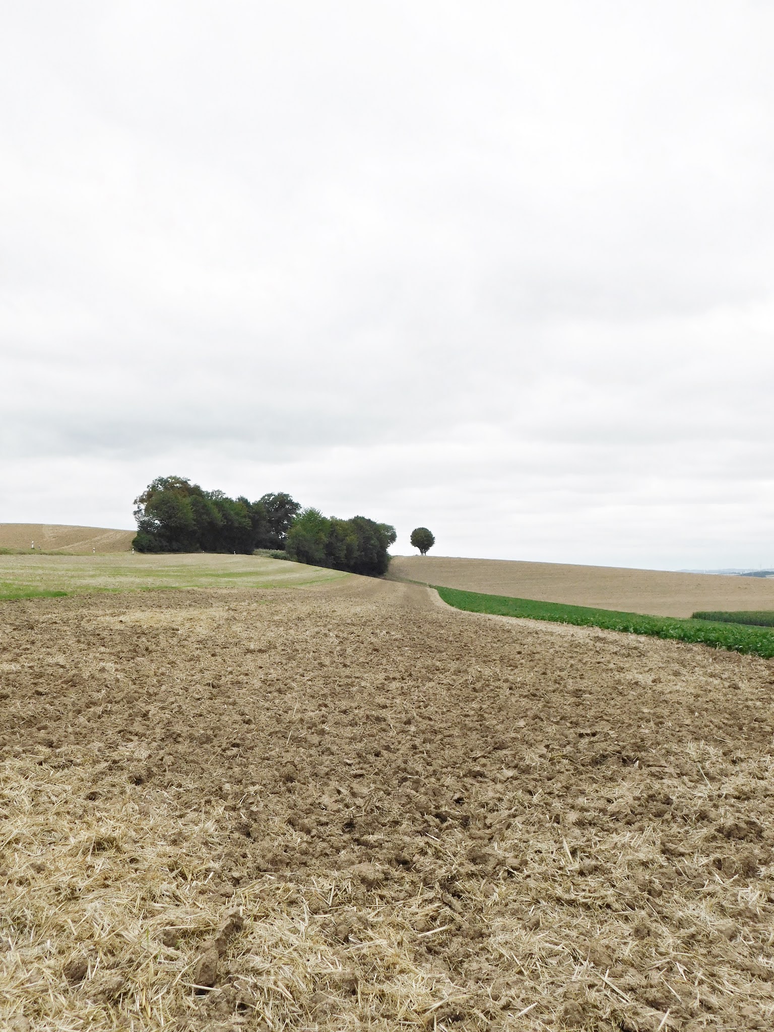 By Meisje Kleingedrucktes Der Salzpfad