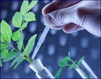Plant Biotechnology Online Multiple Choice Test 