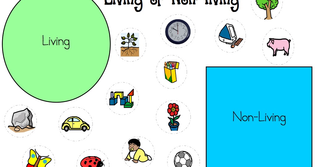 Live and living. Live and learn картинки. Live and learn перевод. Live and learn перевод. Live and living.