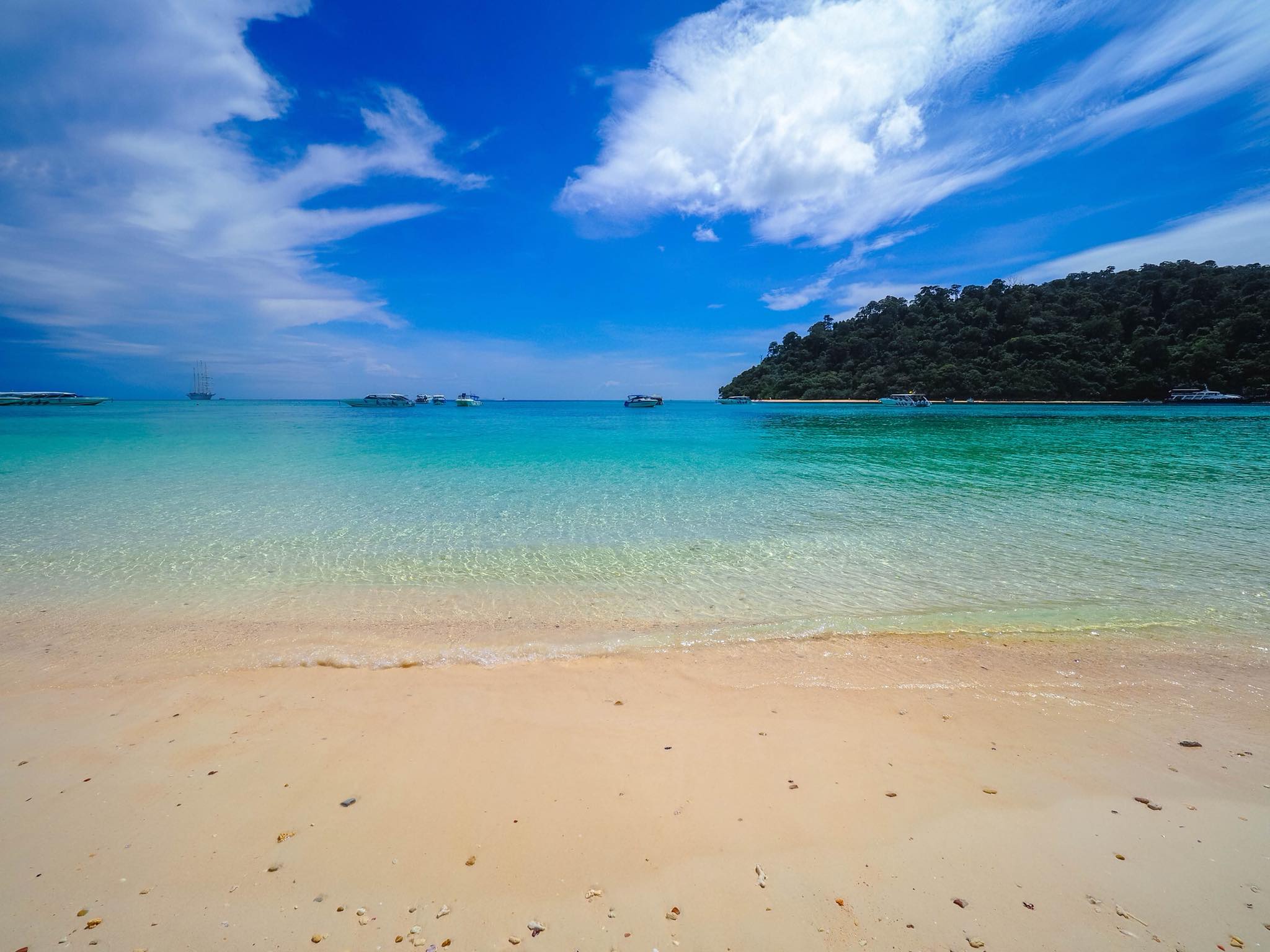 Visit Koh Rok which consists of Koh Rok Noi, Koh Rok Yai